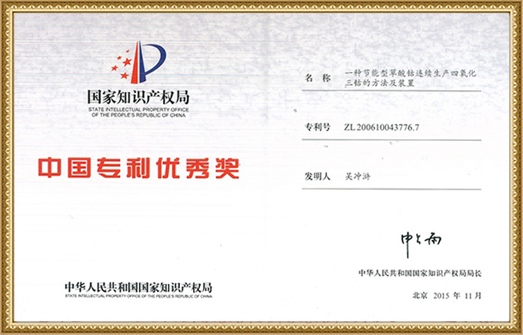 Excellent Patent Award of China